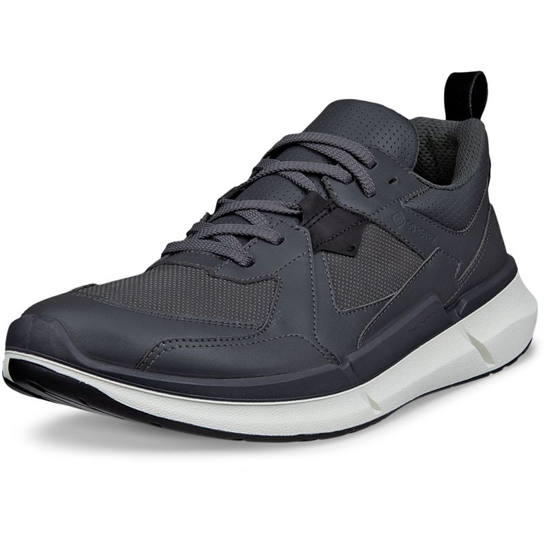 ECCO BIOM 2.2 M (Grey)