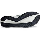 ECCO BIOM 2.2 M (Gris)