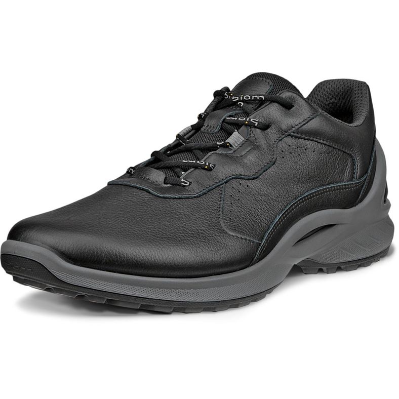 ECCO BIOM ENERGI M (黑色)