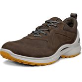 ECCO BIOM ENERGI M (咖啡色)