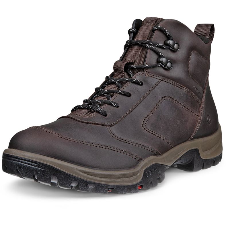 ECCO XPEDITION III M (Brown)