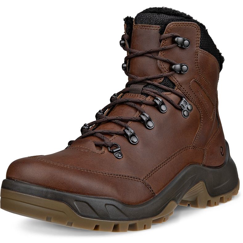ECCO OFFROAD M (Brown)