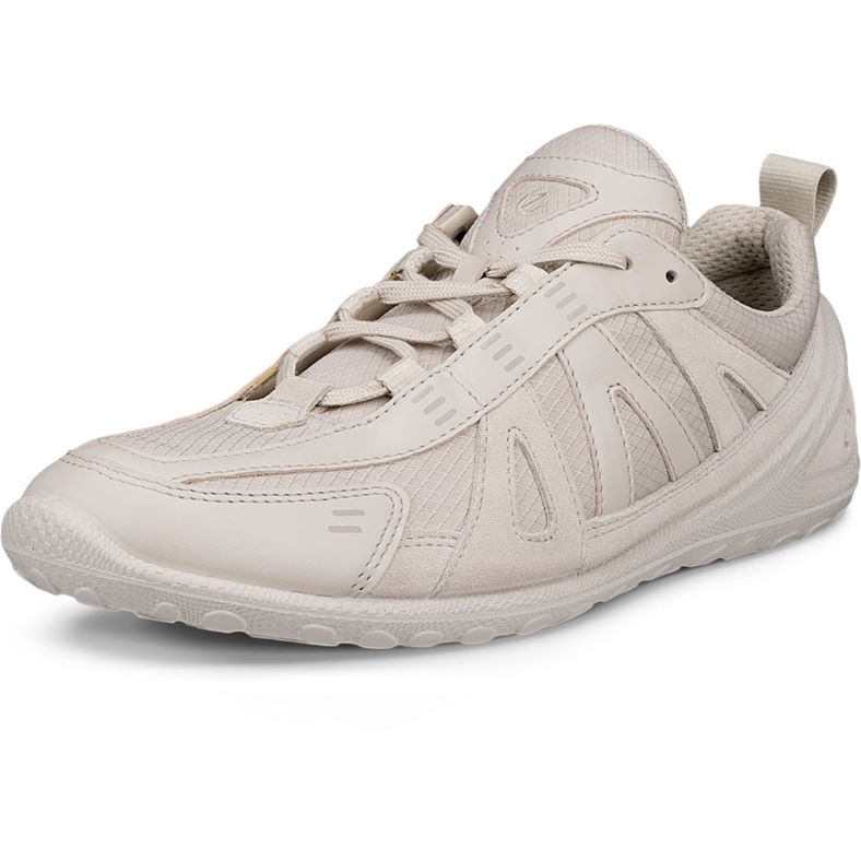 ECCO BIOM LITE W (Grey)