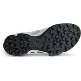 ECCO BIOM C-TRAIL M (Grey)