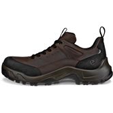 ECCO OFFROAD M (Brown)