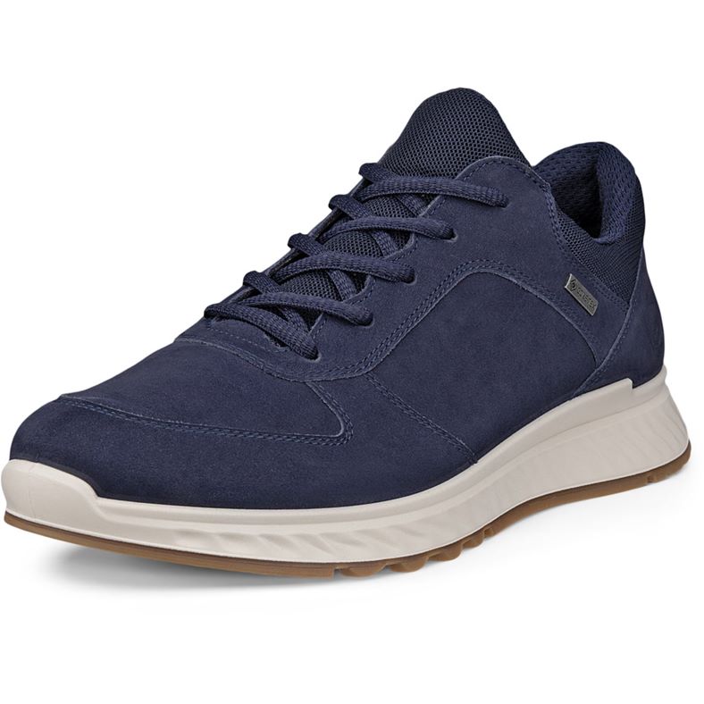 ECCO EXOSTRIDE W (Blue)