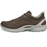 ECCO BIOM ENERGI W (Brown)