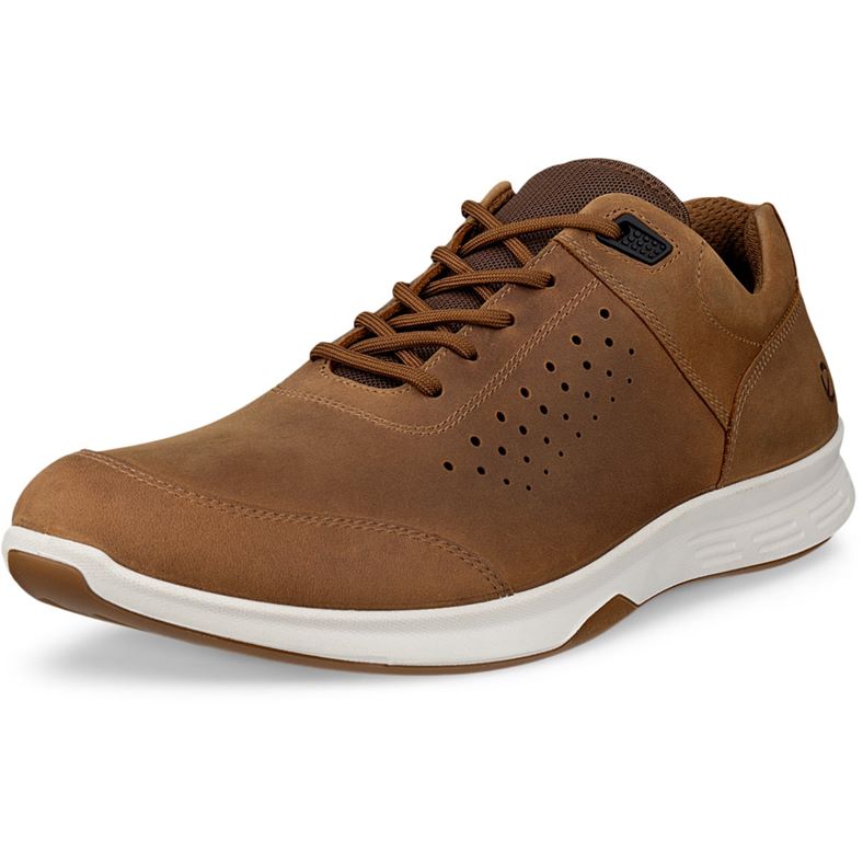 ECCO EXCEED M (Brown)