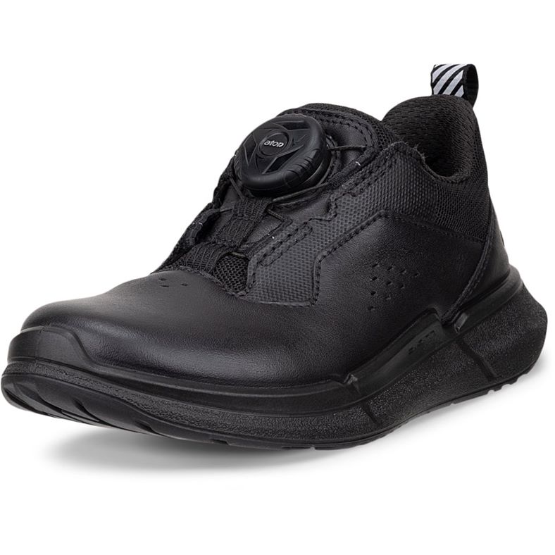 ECCO BIOM 2.2 K (Black)