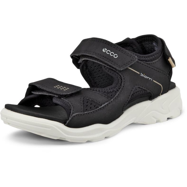 ECCO BIOM RAFT (Black)