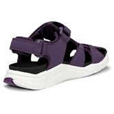 ECCO X-TRINSIC K (Purple)