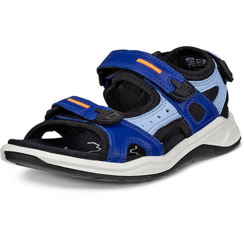 ECCO X-TRINSIC K (Blue)