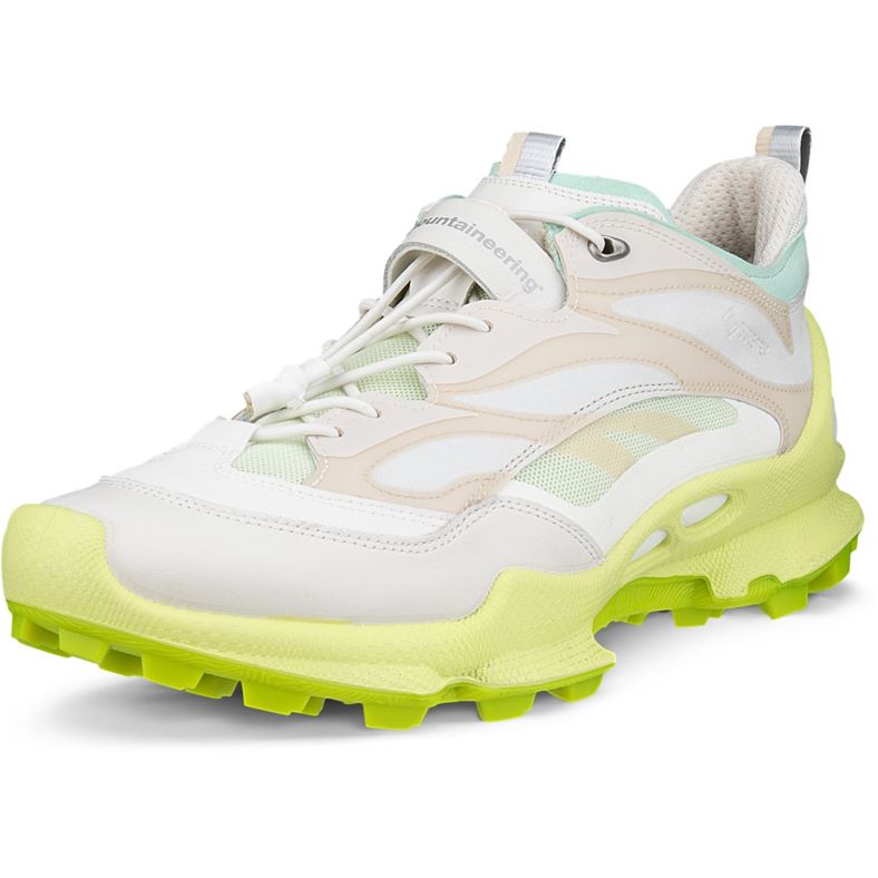 ECCO BIOM C-TRAIL W (Green)