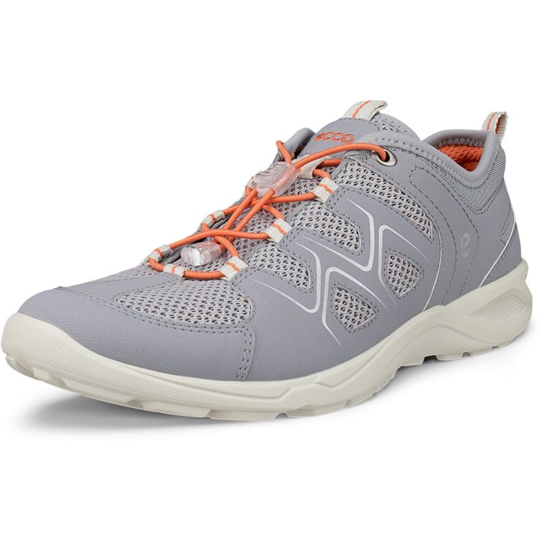 ECCO TERRACRUISE LT W (Grey)