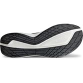 ECCO BIOM 2.2 W (Black)