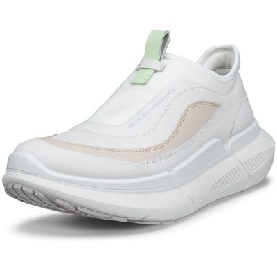 ECCO BIOM 2.2 MAX W