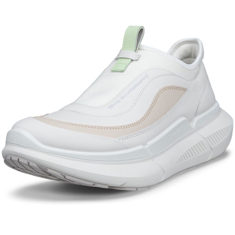 ECCO BIOM 2.2 MAX W (白色)