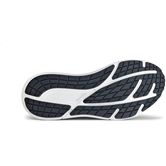 ECCO BIOM 2.2 MAX W (Black)