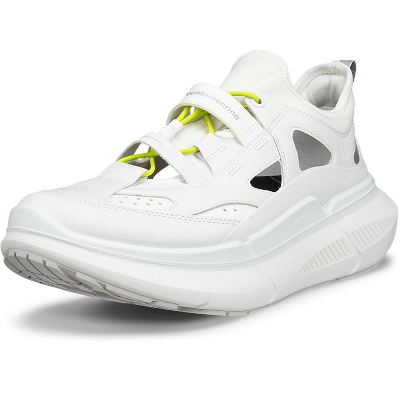 ECCO BIOM 2.2 MAX W (White)