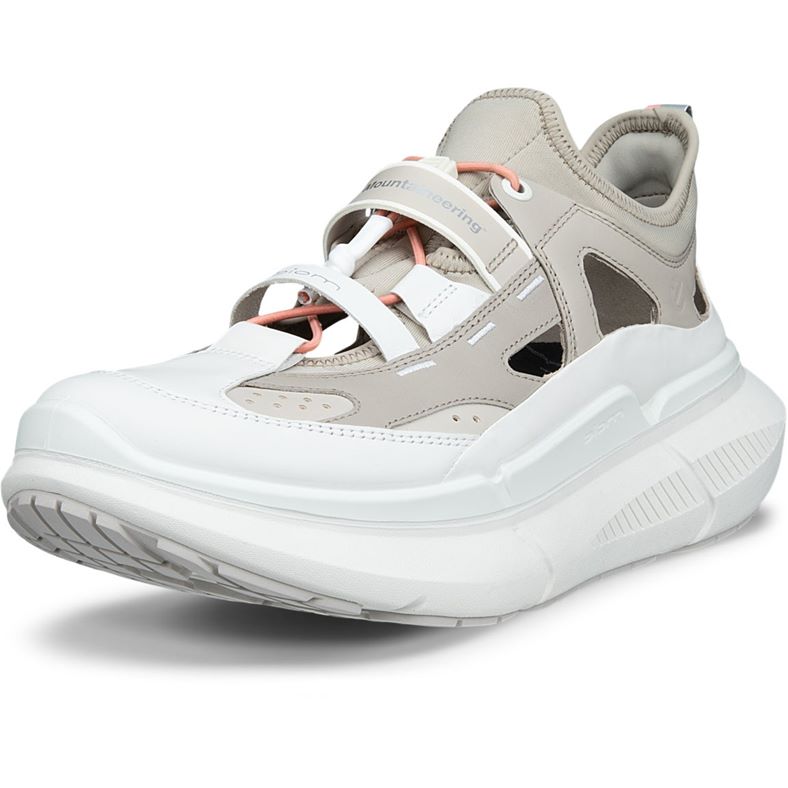 ECCO BIOM 2.2 MAX W (Beige)