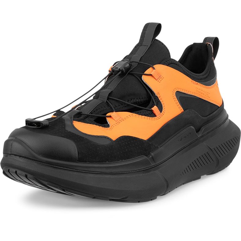 ECCO BIOM 2.2 MAX W (Black)