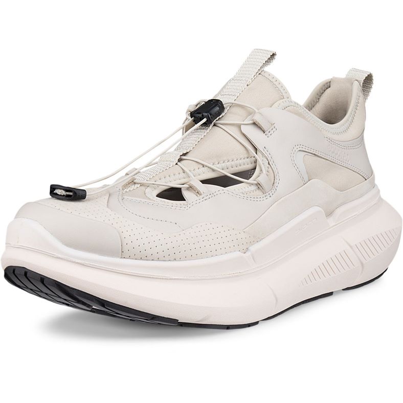 ECCO BIOM 2.2 MAX W (Beige)