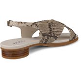 ECCO SCULPTED ALBA 25 (Beige)