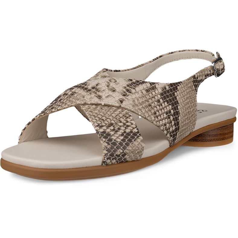 ECCO SCULPTED ALBA 25 (Beige)