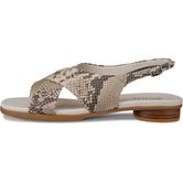 ECCO SCULPTED ALBA 25 (Beige)