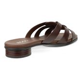ECCO SCULPTED ALBA 25 (Brown)