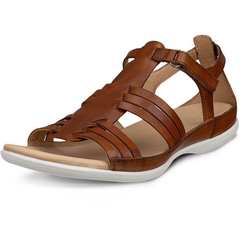 ECCO FLASH (Brown)