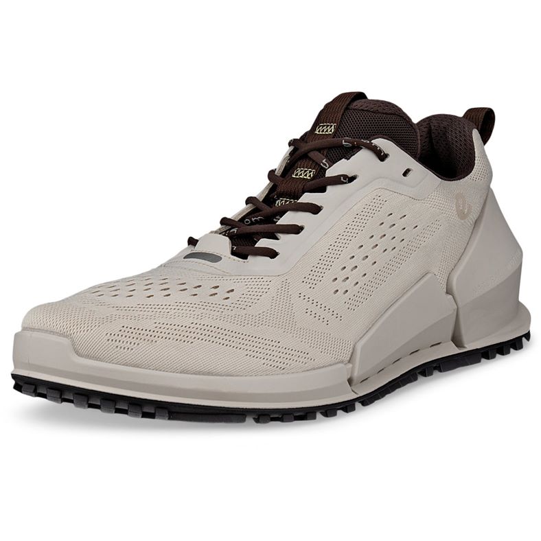 ECCO BIOM 2.0 M (Grey)
