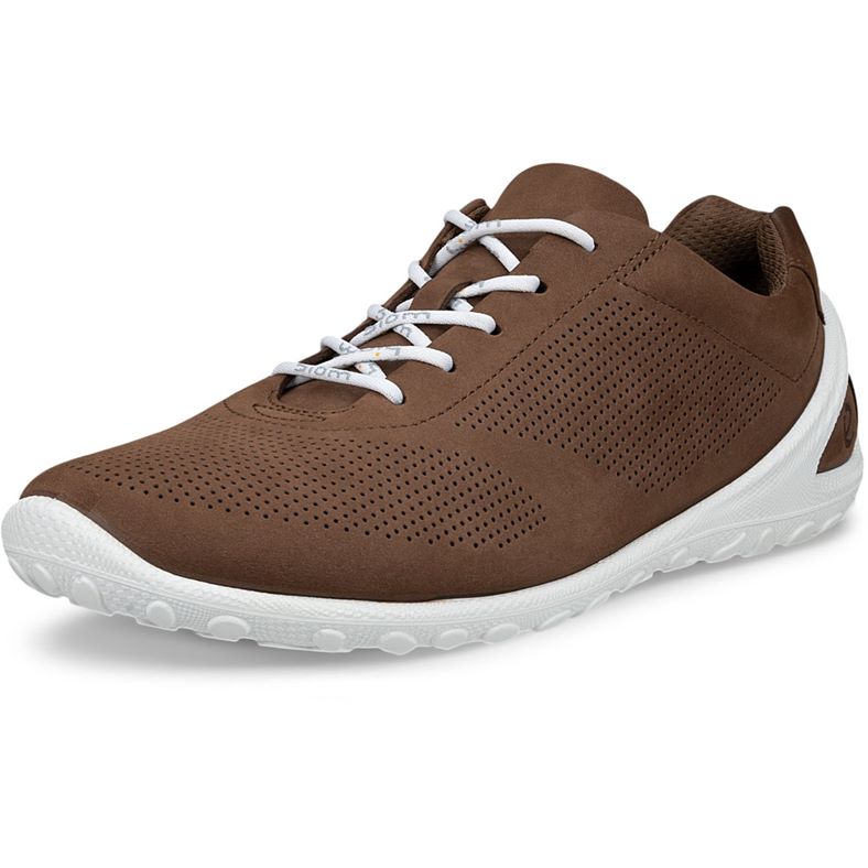 ECCO BIOM LITE M (Brown)
