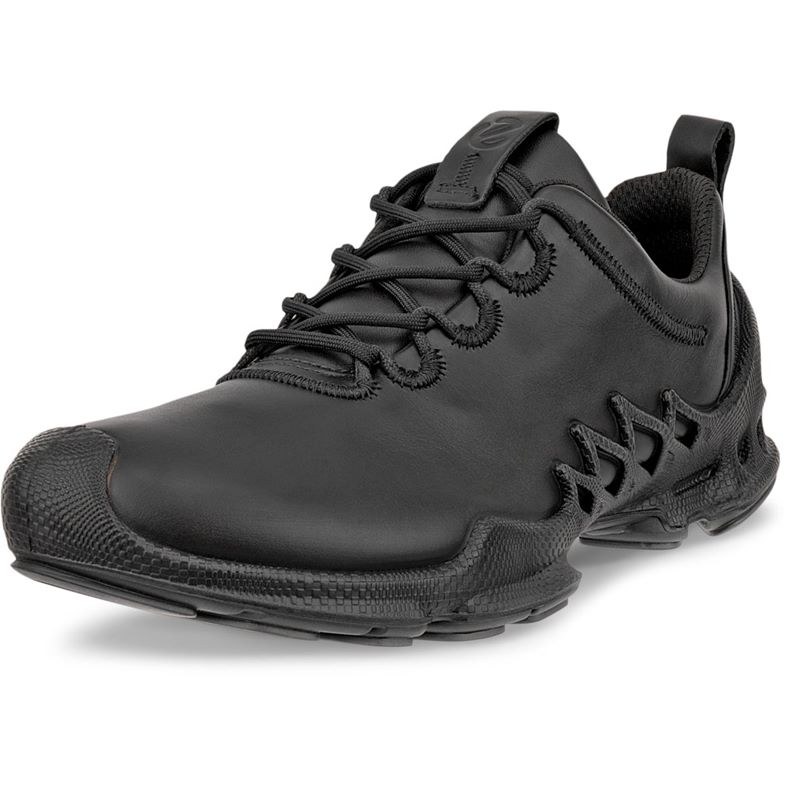 ECCO BIOM AEX M (Black)