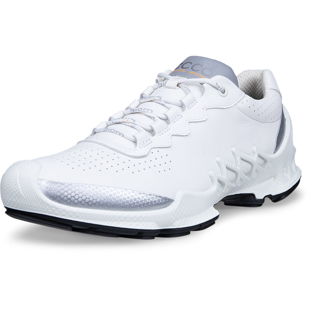 ECCO BIOM AEX M - ECCO.com