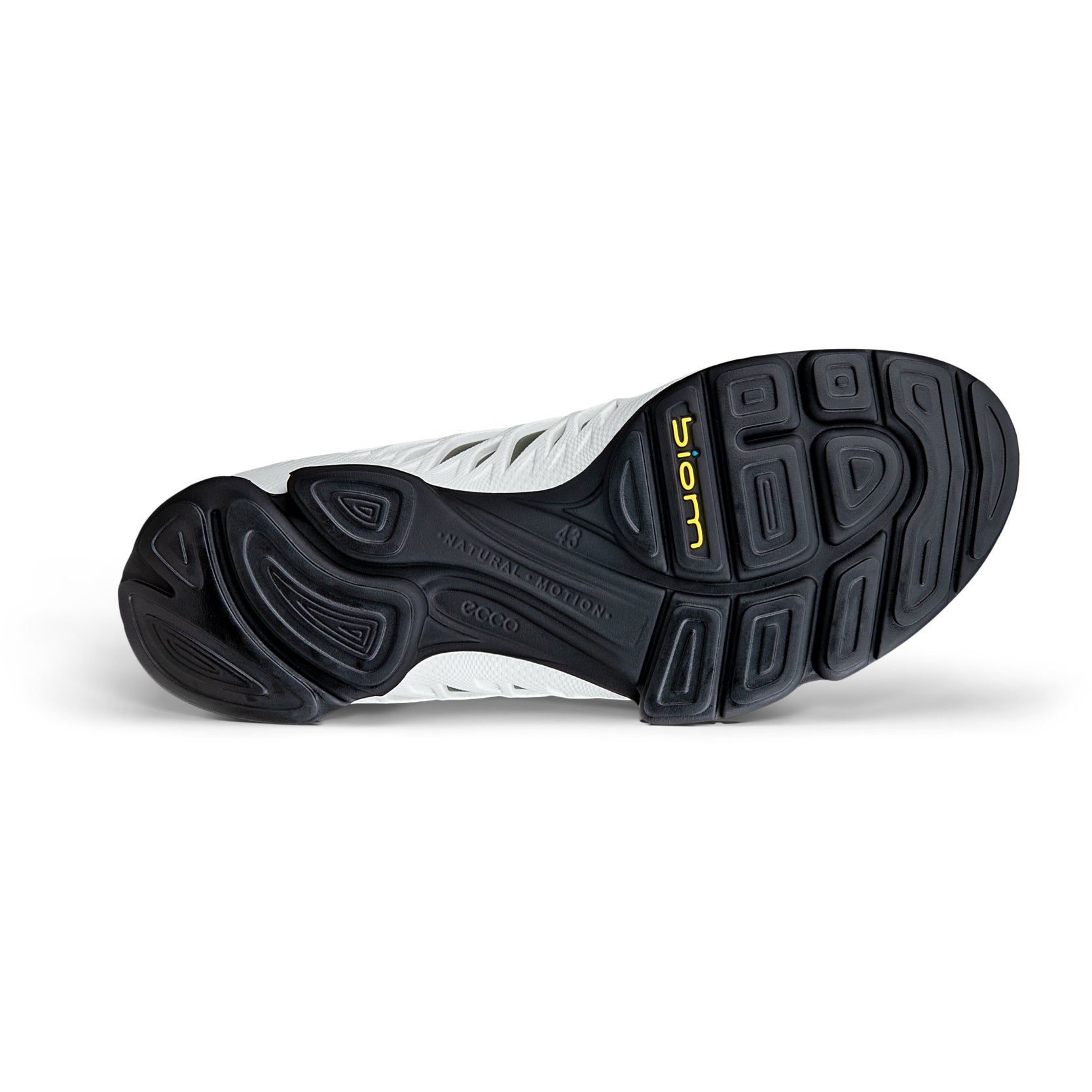 ECCO BIOM AEX M - ECCO.com