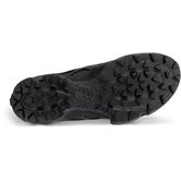 ECCO BIOM C-TRAIL M (Black)