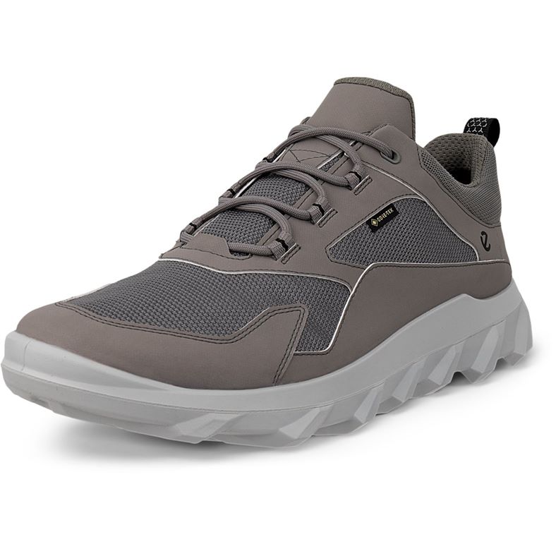 ECCO MX M (Grey)
