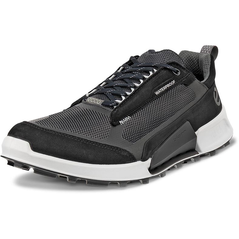 ECCO BIOM 2.1 X MOUNTAIN M (Black)