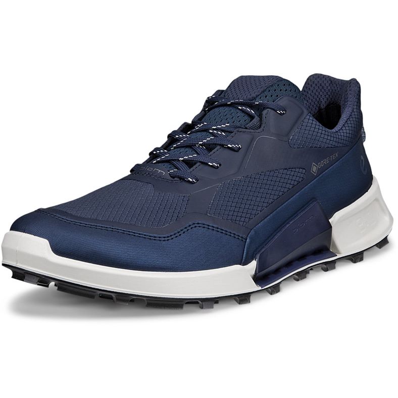 ECCO BIOM 2.1 X MOUNTAIN M (Blue)