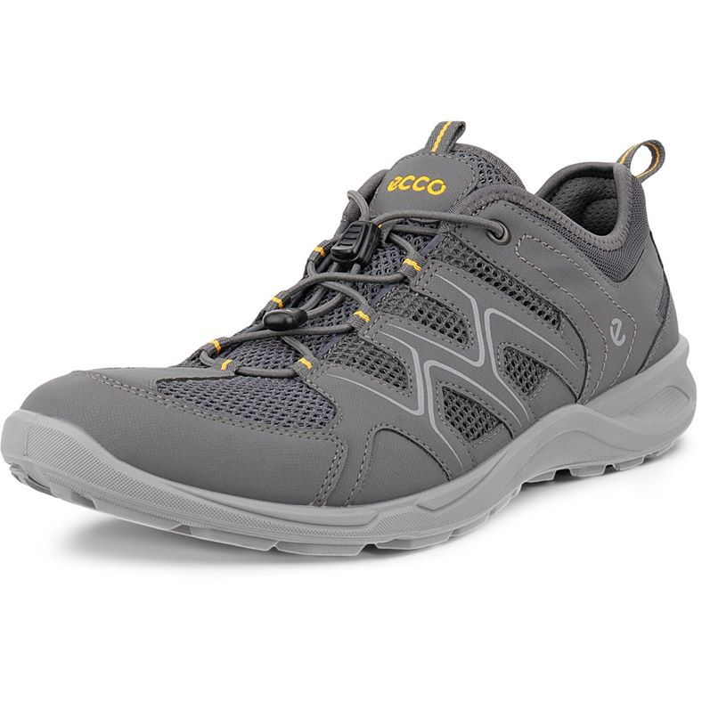 ECCO TERRACRUISE LT M (Grey)