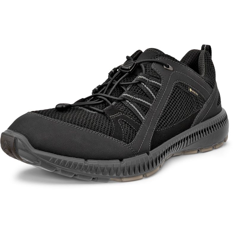 ECCO TERRACRUISE II M (Black)