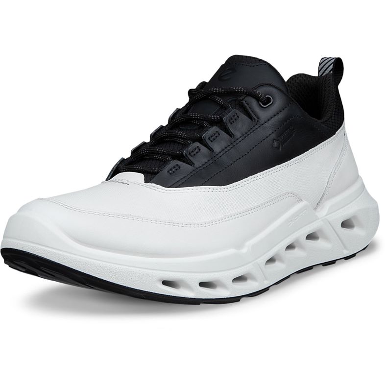 ECCO BIOM 720 M (White)