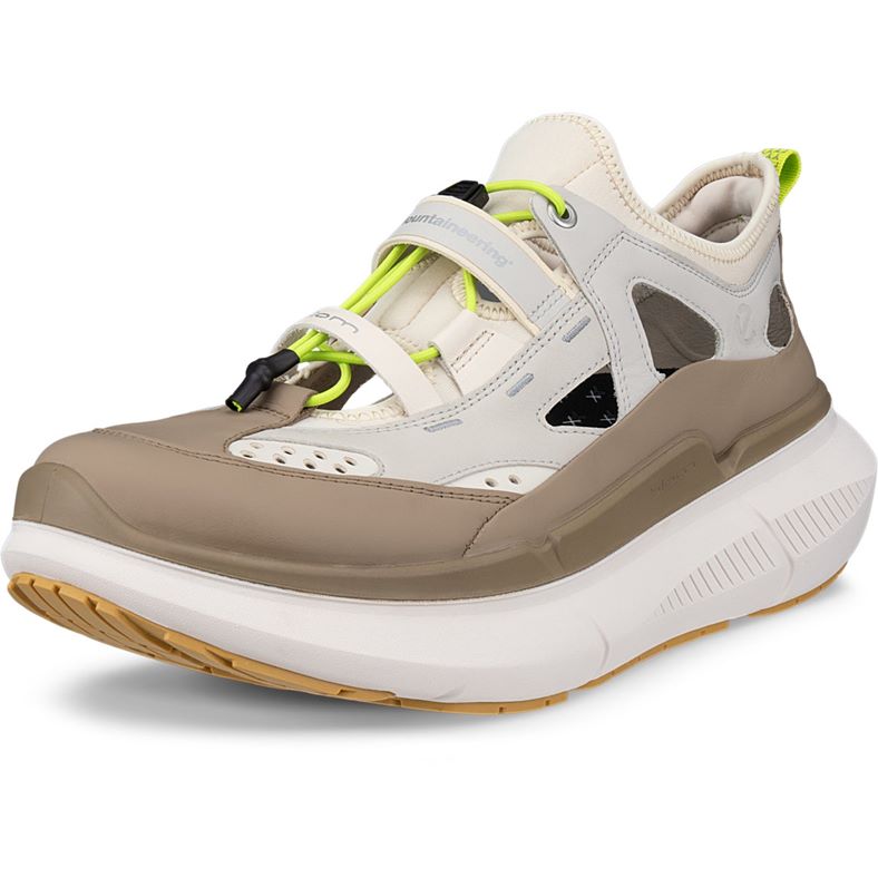 ECCO BIOM 2.2 MAX M (Beige)
