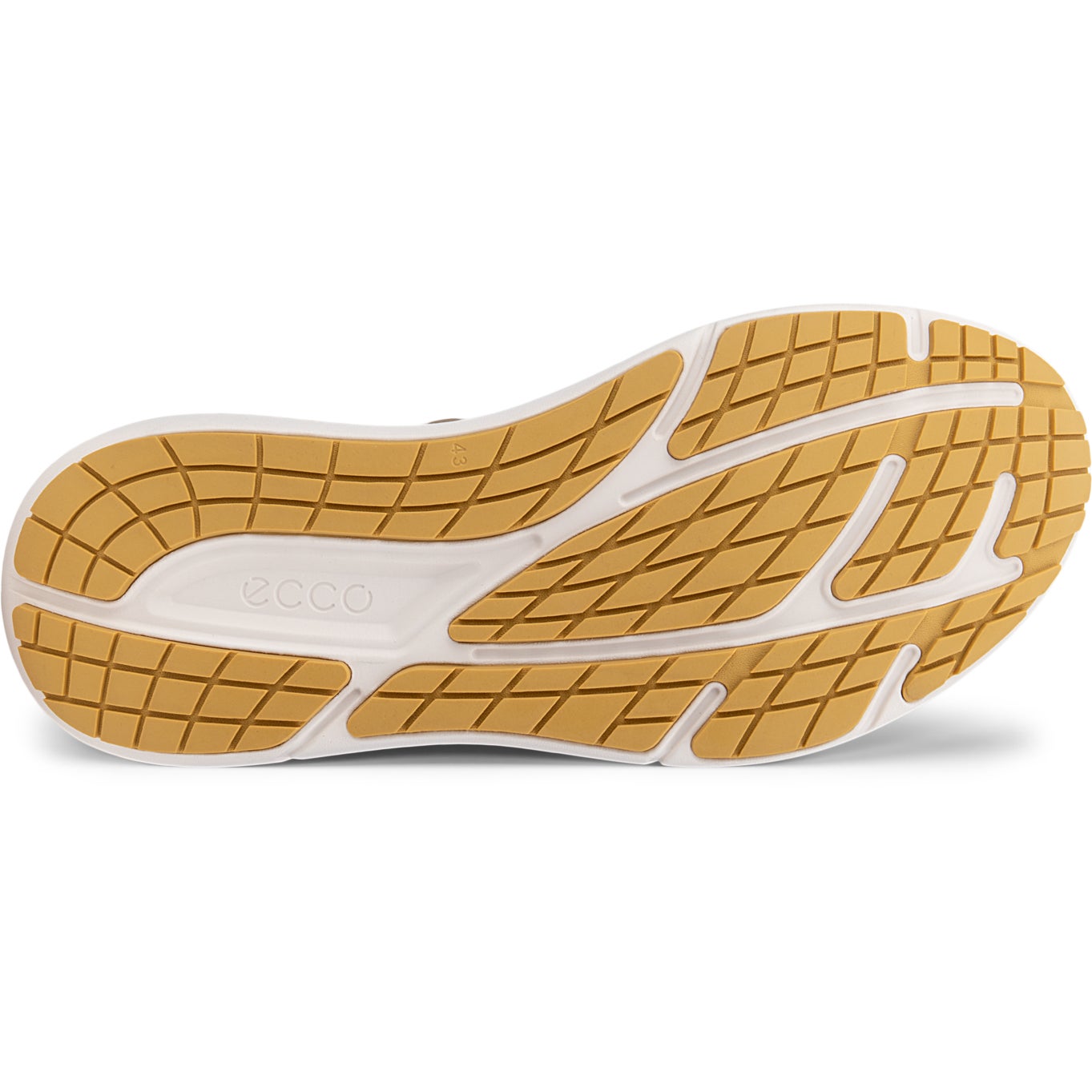 ECCO BIOM 2.2 MAX M - ECCO.com