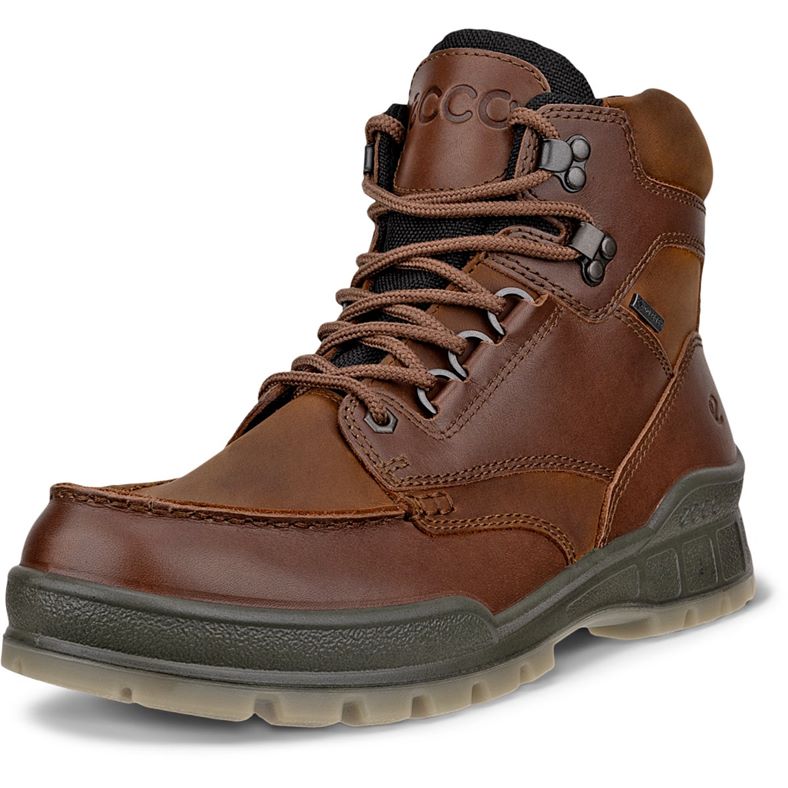 ECCO TRACK 25 M (Brown)