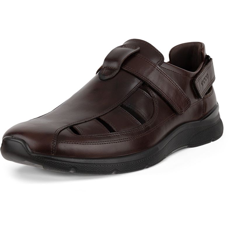 ECCO IRVING (Brown)