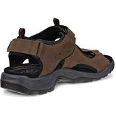 ECCO OFFROAD (Brown)