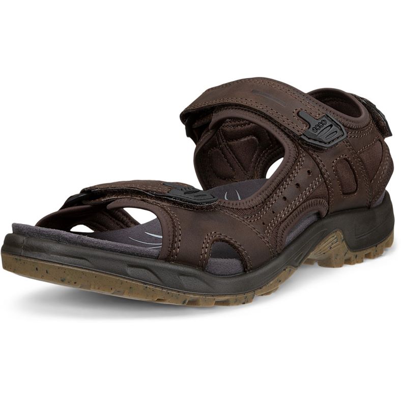ECCO OFFROAD (Brown)