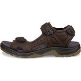 ECCO OFFROAD (Brown)